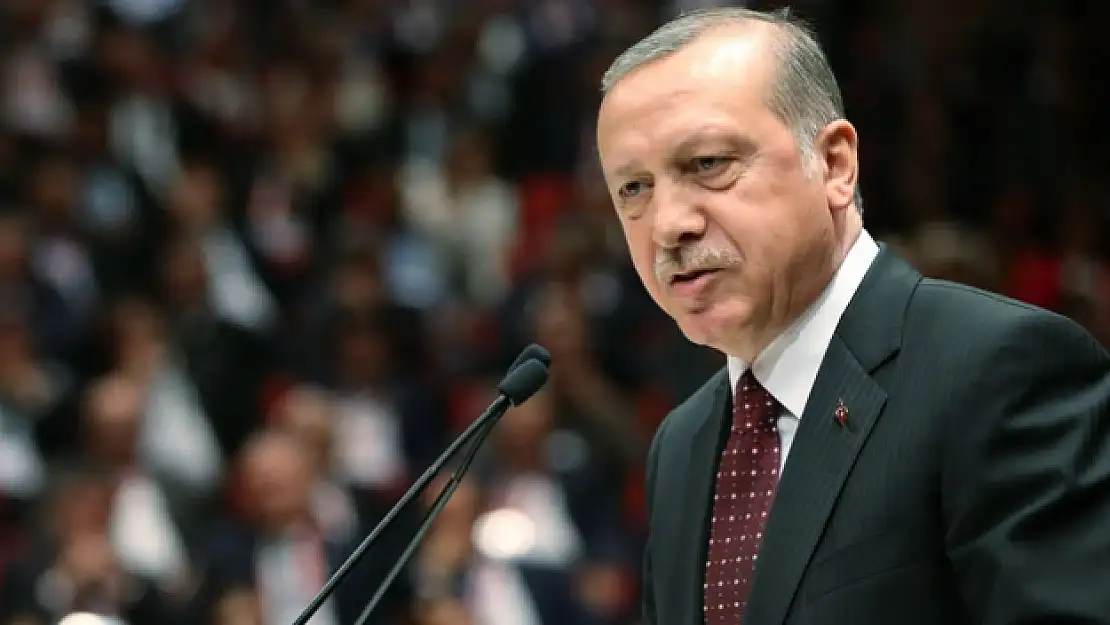 YSK, Erdoğan'ın diplomasıyla ilgili kararını verdi!