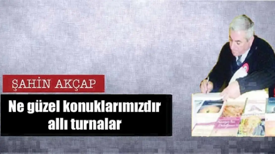 Ne güzel konuklarımızdır allı turnalar