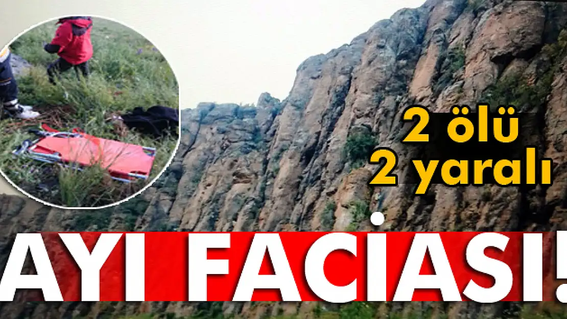 Kars'ta ayı saldırısı: 2 ölü, 2 yaralı