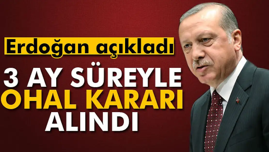 3 ay süreyle OHAL kararı alındı