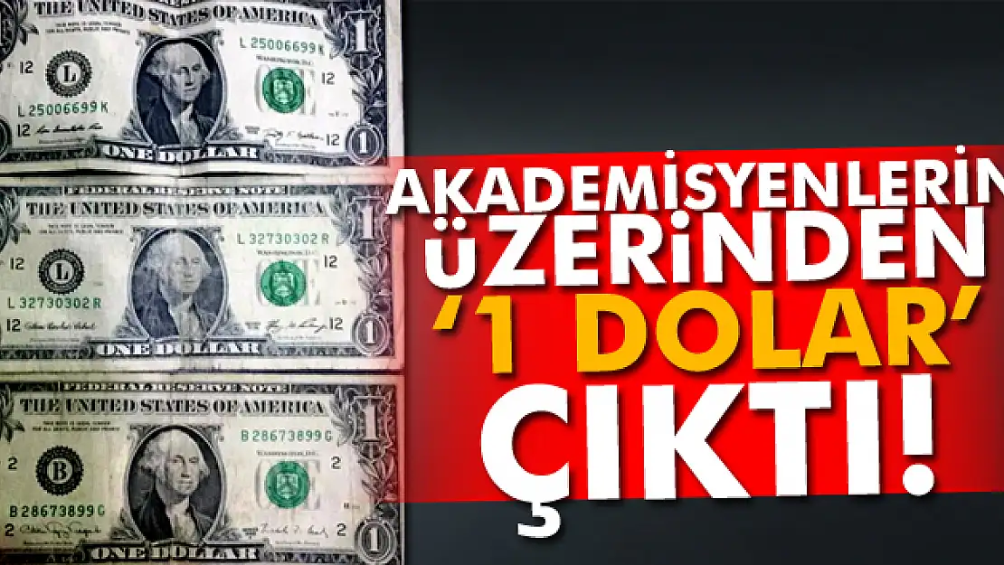 Adana'da akademisyenlerin üzerinden '1 dolar' çıktı