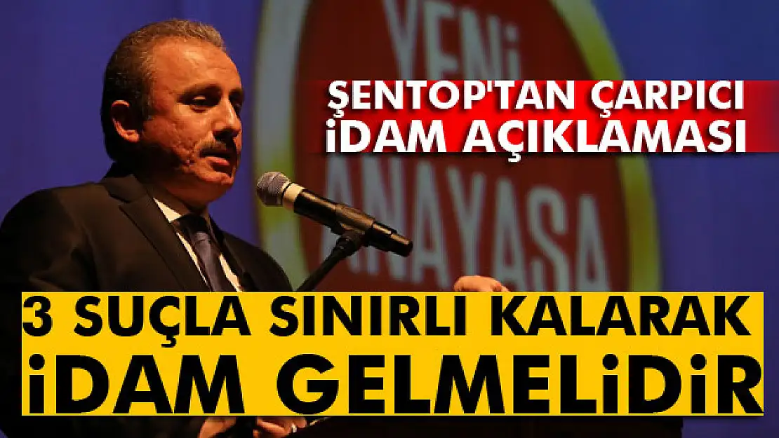 Şentop: Üç suçla sınırlı kalarak idam gelmelidir