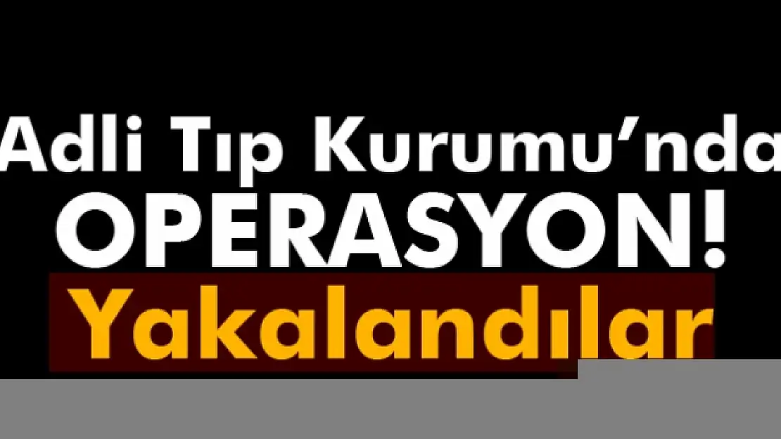 Adli Tıp Kurumu'nda FETÖ operasyonu