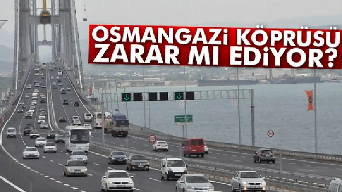 Osmangazi Köprüsü zarar mı ediyor?