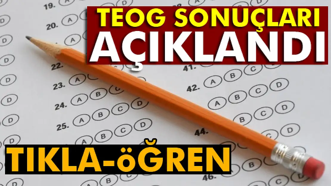 TEOG yerleştirme sonuçları açıklandı