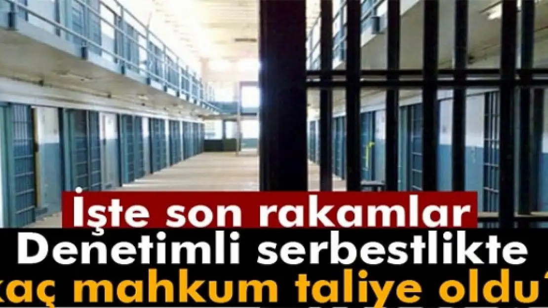 Denetimli serbestlik kapsamında tahliyedeki son rakam belli oldu