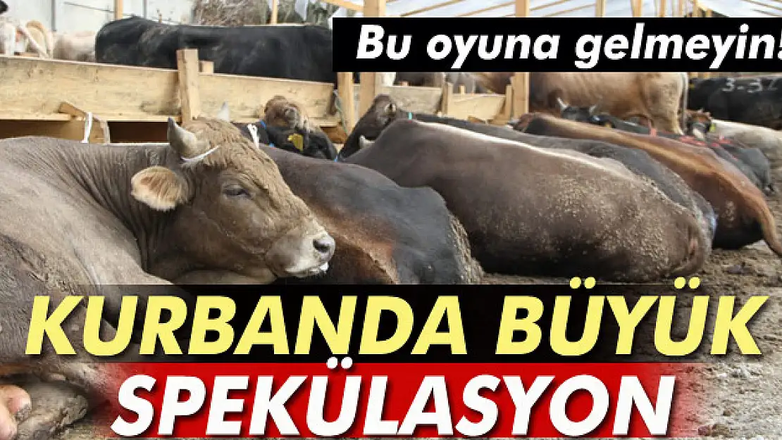 Palandöken: Kurban ve et fiyatları spekülasyonla yükseliyor