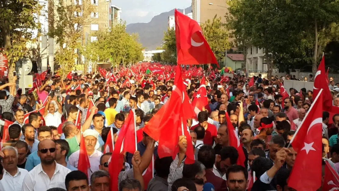 Vanda darbe ve teröre lanet yürüyüşü 