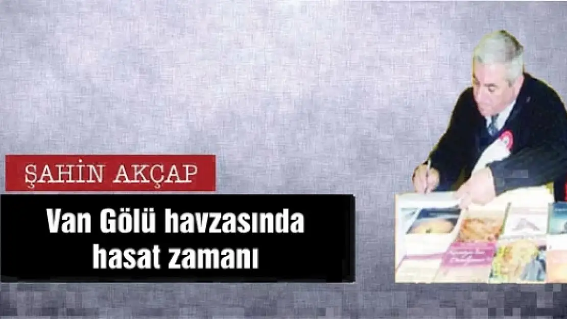 Van Gölü havzasında hasat zamanı