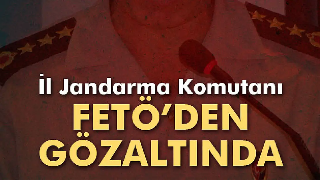 İl Jandarma Komutanı FETÖ kapsamında gözaltına alındı