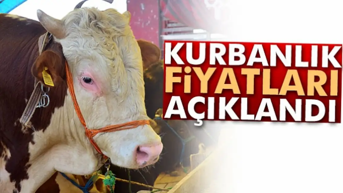 Kurbanlık fiyatları açıklandı