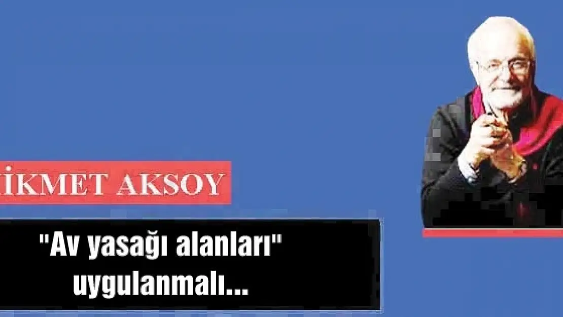 'Av yasağı alanları' uygulanmalı...