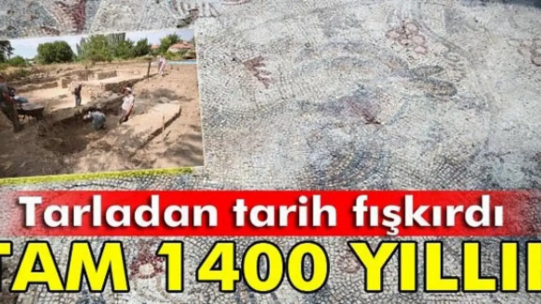 Yonca tarlasında bin 400 yıllık mozaik