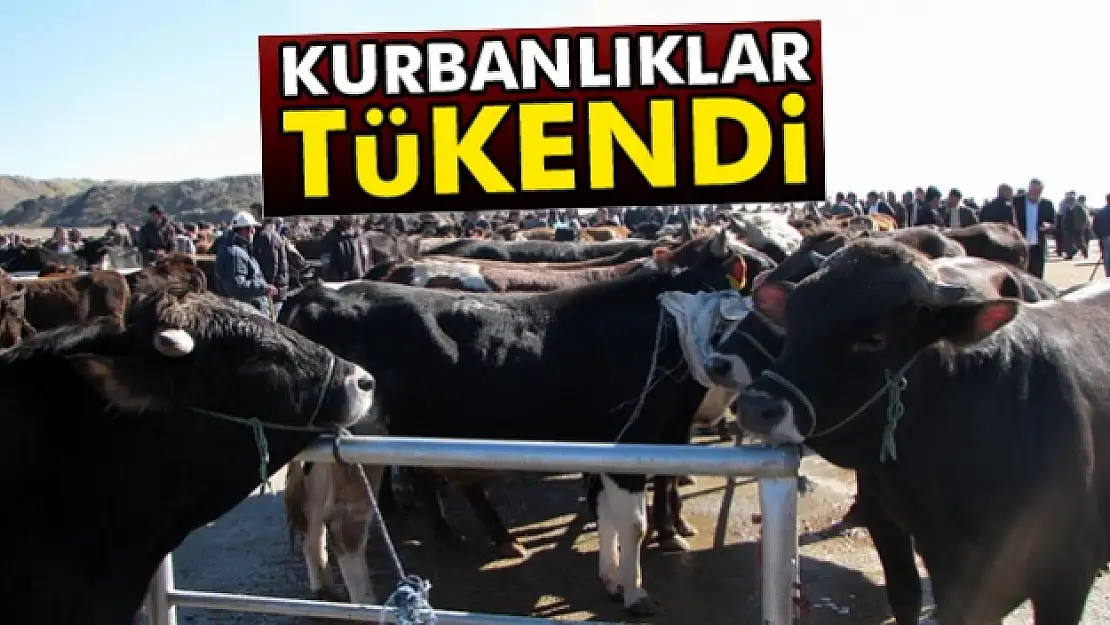 Kurbanlıklar tükendi