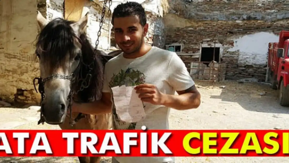 Yarış atına trafik cezası