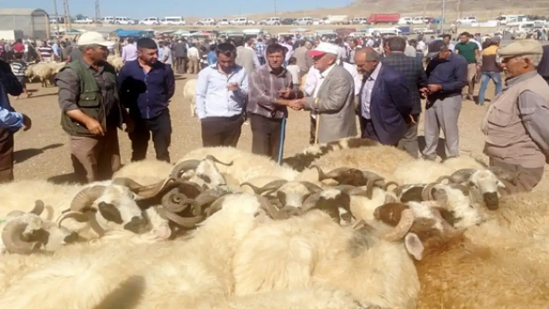 Vanda Kurban Bayramı hazırlığı