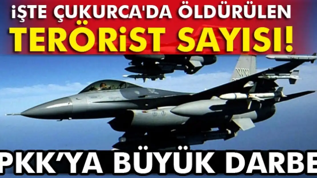 Çukurca'da öldürülen terörist sayısı 201'e ulaştı