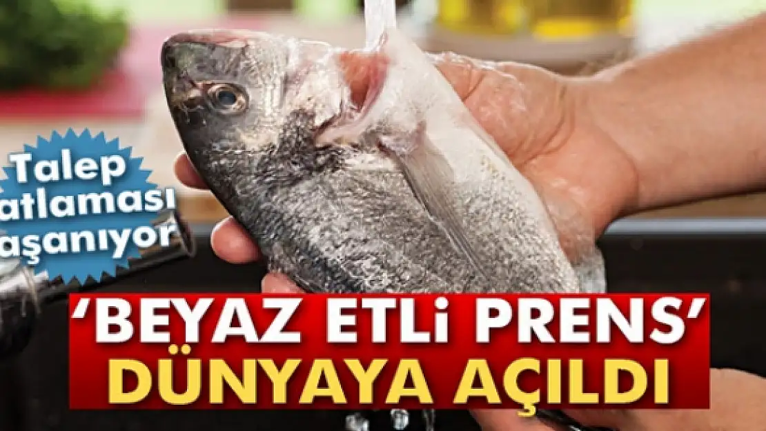 Beyaz etli prens dünya sofralarında