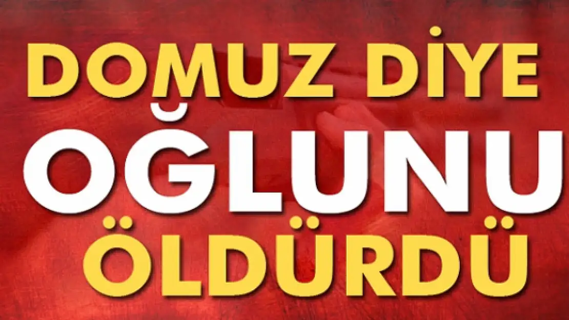 Domuz diye oğlunu öldürdü