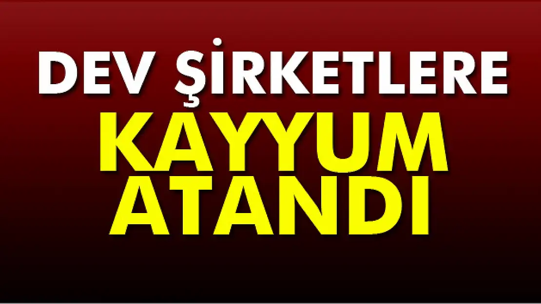 Dumankaya şirketlerine kayyum atandı