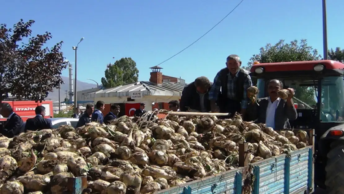 Erciş'te Pancar Alımı Başladı