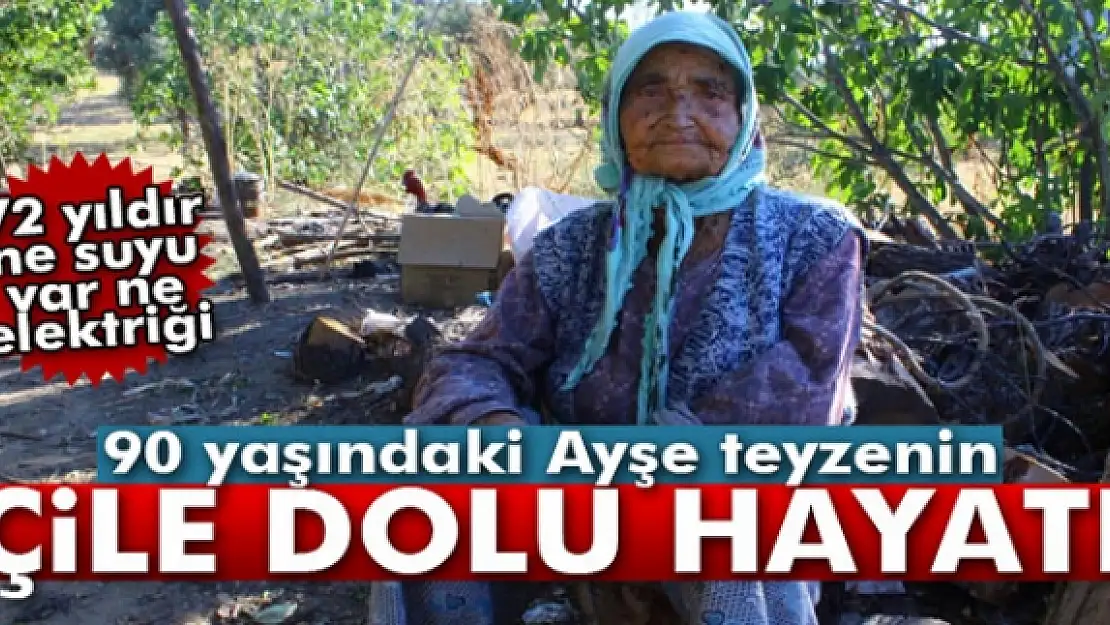 Yaşlı kadının dağda çile dolu hayatı