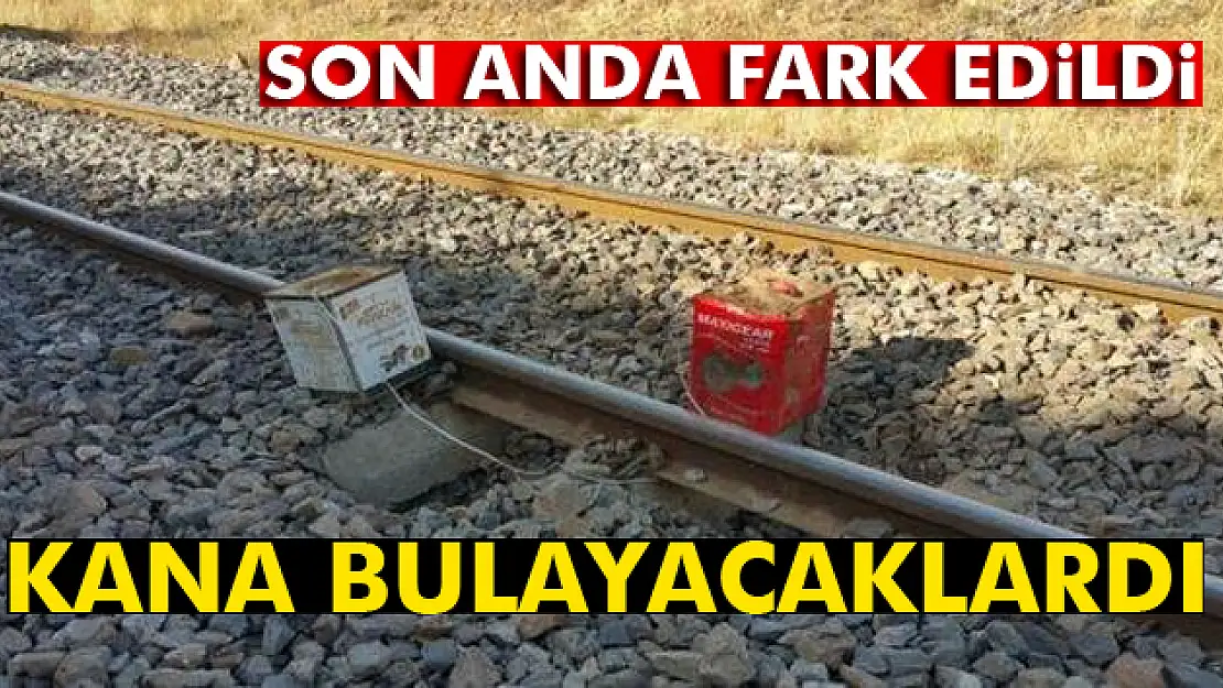 Ortalığı kana bulayacaklardı