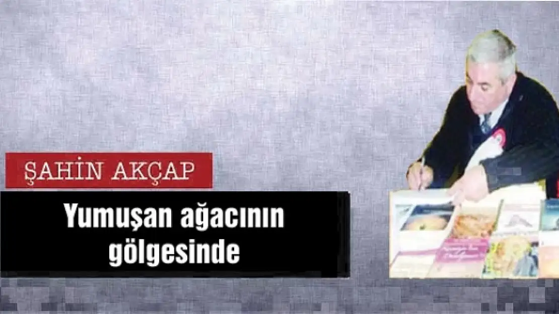 Yumuşan ağacının gölgesinde