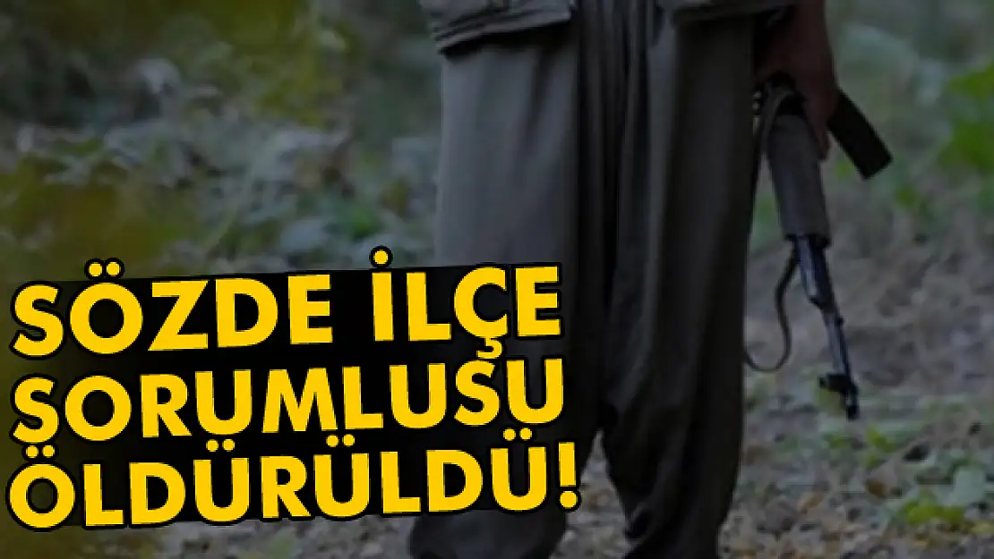 PKKnın sözde ilçe sorumlusu öldürüldü