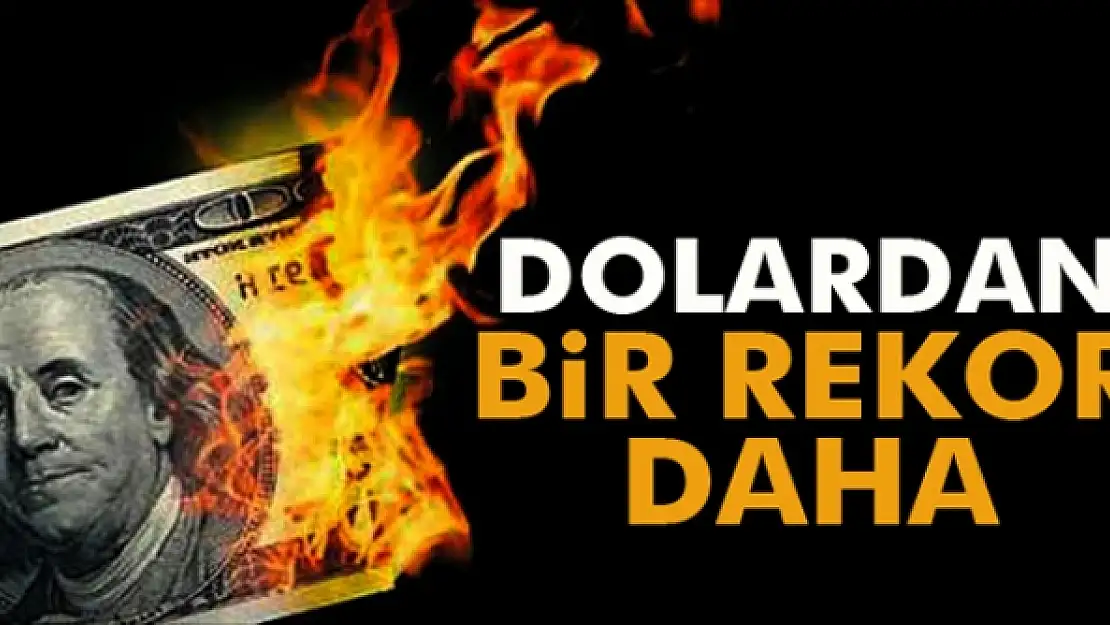 Dolar rekor tazeledi, 3,10'un üzerine çıktı