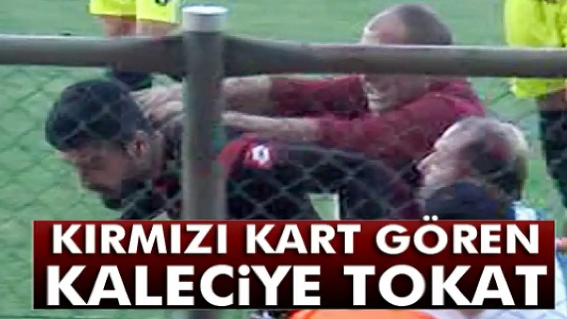 Menajer, kırmızı kart gören kaleciyi tokatladı