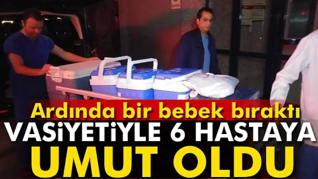 Trafik kazasında hayatını kaybetti, organları umut oldu