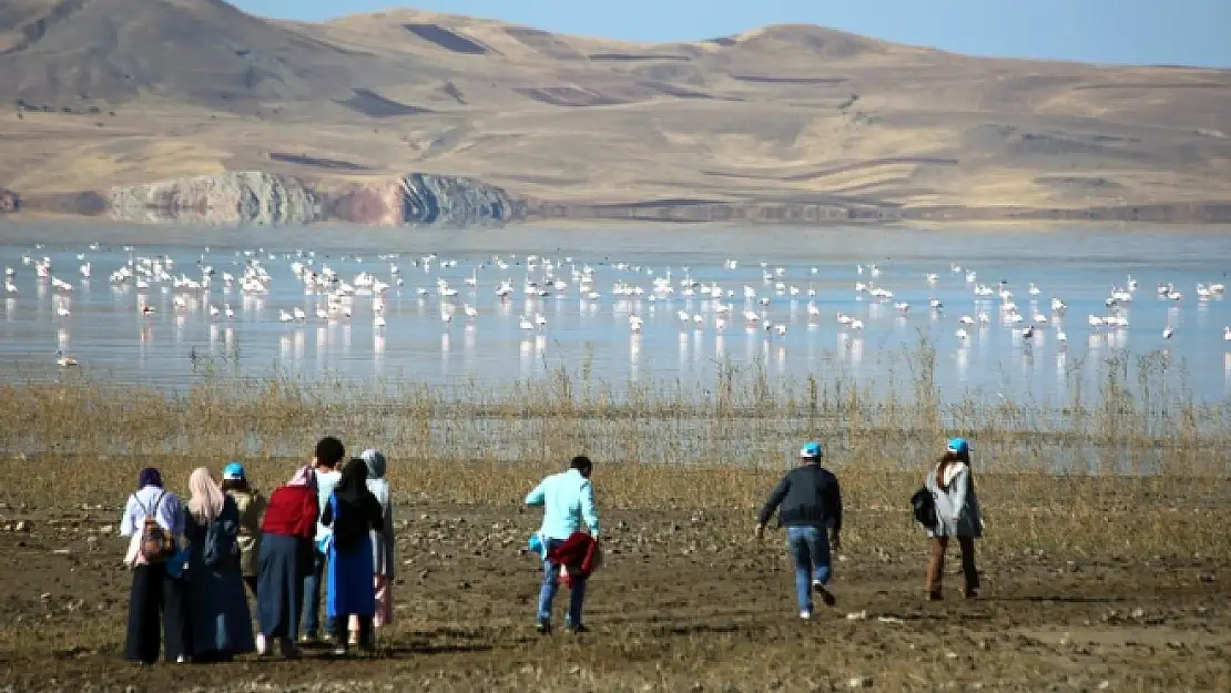 Van'da 6. Flamingo  Gözlem Festivali  Yapıldı