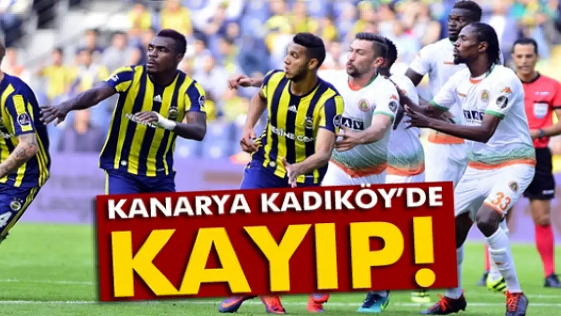 Kanarya Kadıköy'de Kayıp!