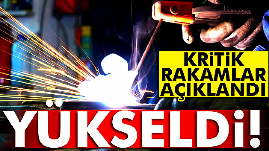 İşsizlik rakamları açıklandı