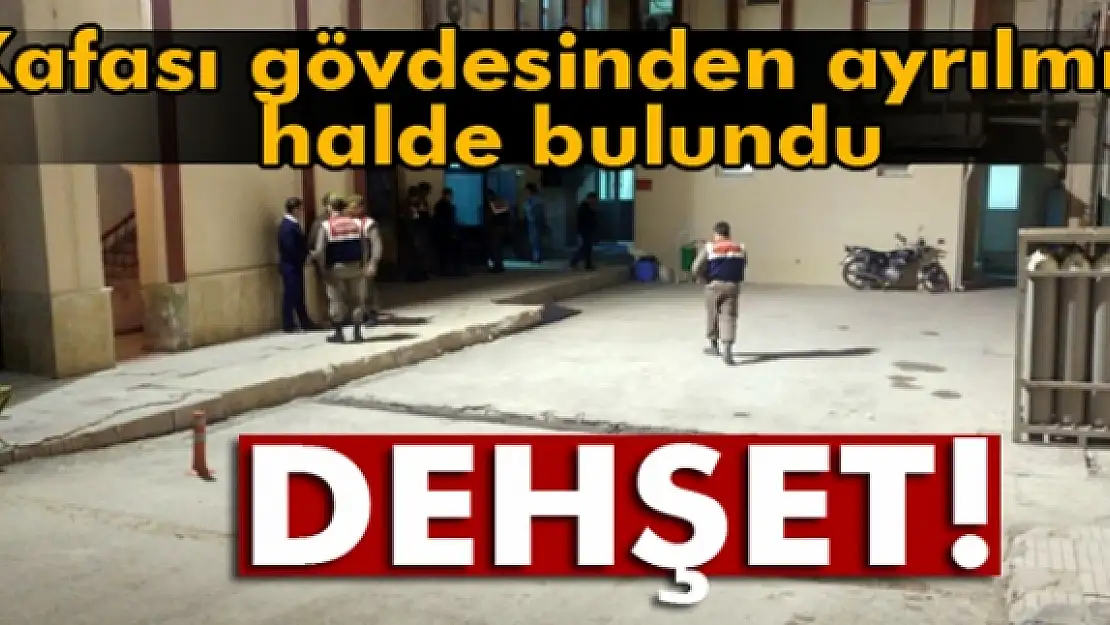 Tarlada kafası gövdesinden ayrılmış erkek cesedi bulundu