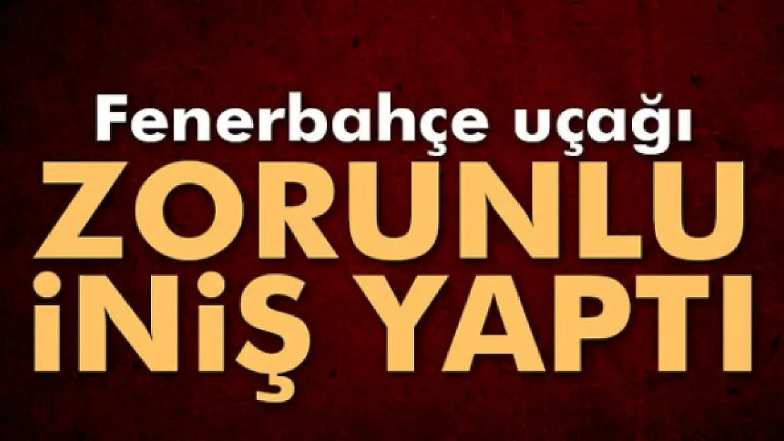 Fenerbahçe uçağı zorunlu iniş yaptı