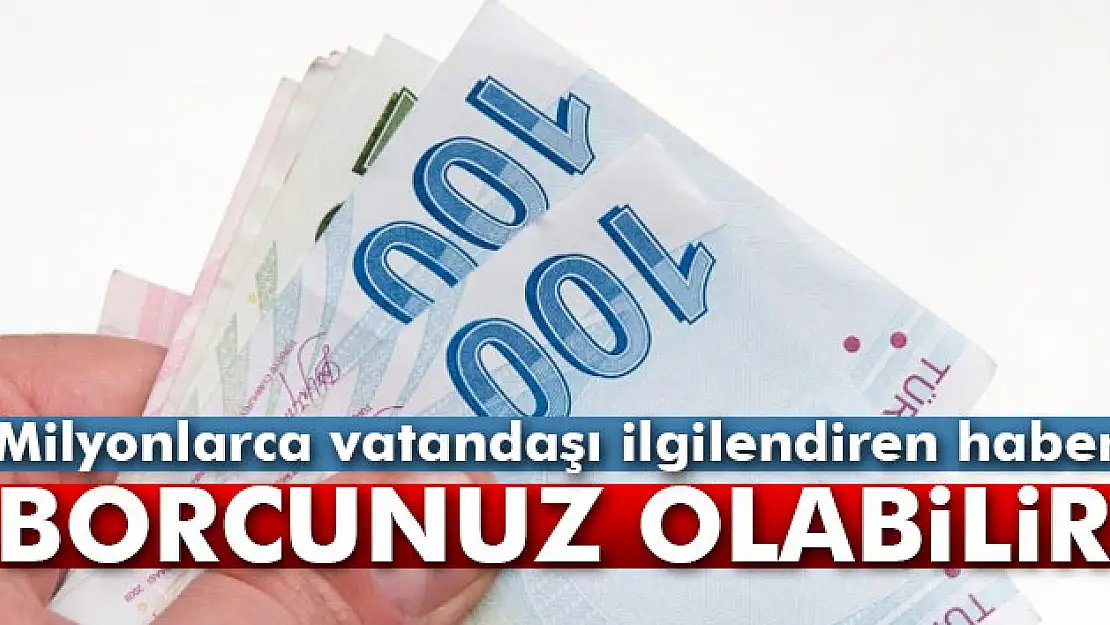 Bilmediğiniz vergi borcunuz olabilir