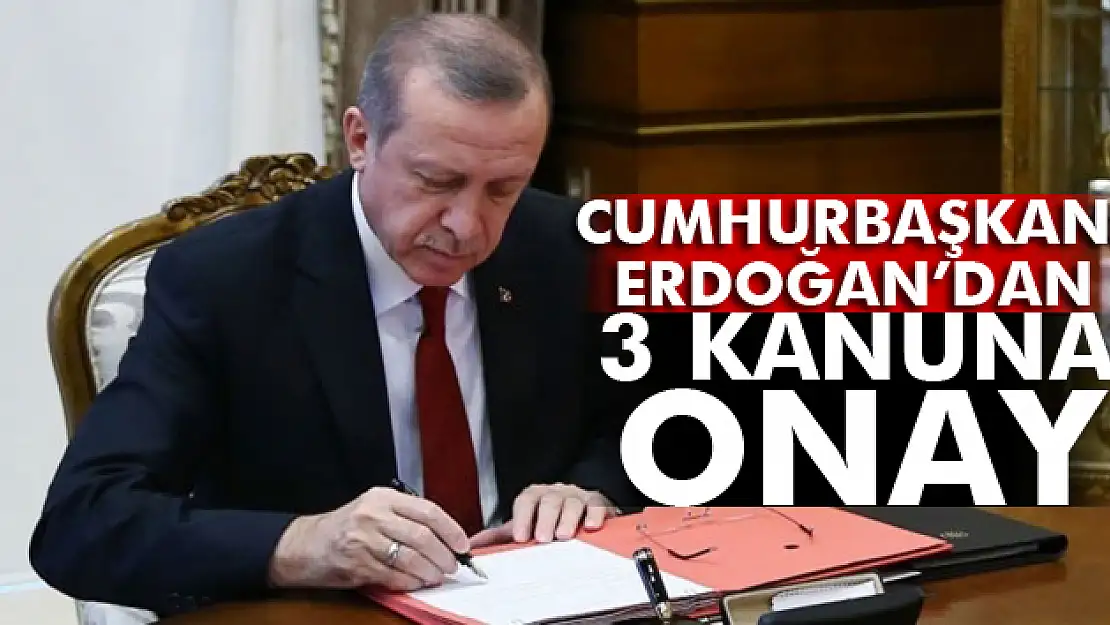 Cumhurbaşkanı Erdoğan 3 kanunu onayladı