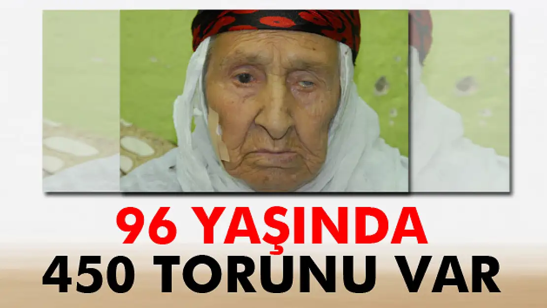 5. kuşak, 450 torun!