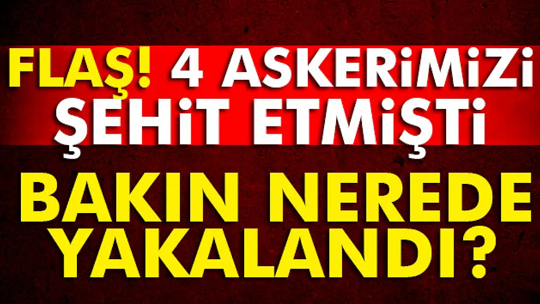 4 askeri şehit eden örgüt üyesi İstanbul'da yakalandı