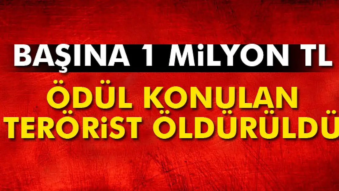 Başına 1 milyon TL ödül konulan terörist Bitlis'te öldürüldü