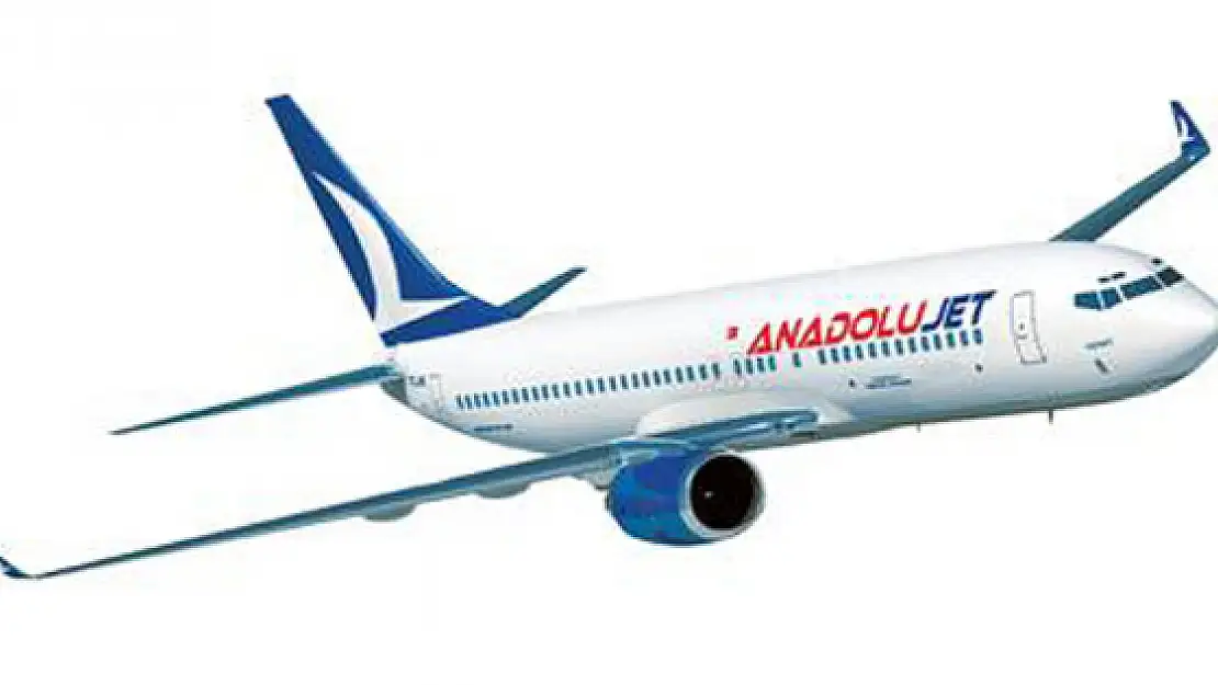 Anadolujet uçağı Van'a inemedi