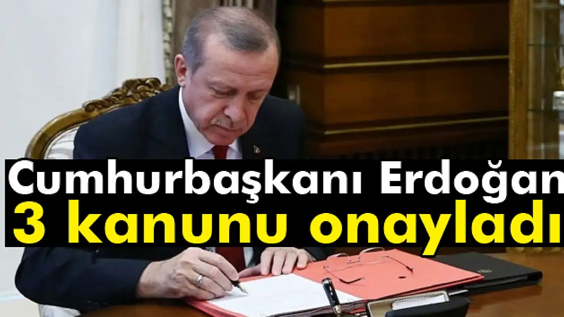 Cumhurbaşkanı Erdoğan, 3 kanunu onayladı