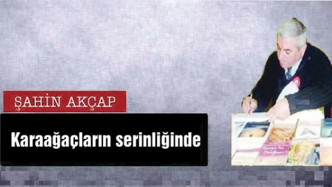 Karaağaçların serinliğinde