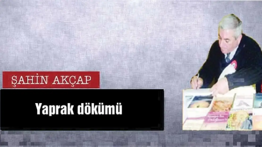 Yaprak dökümü 