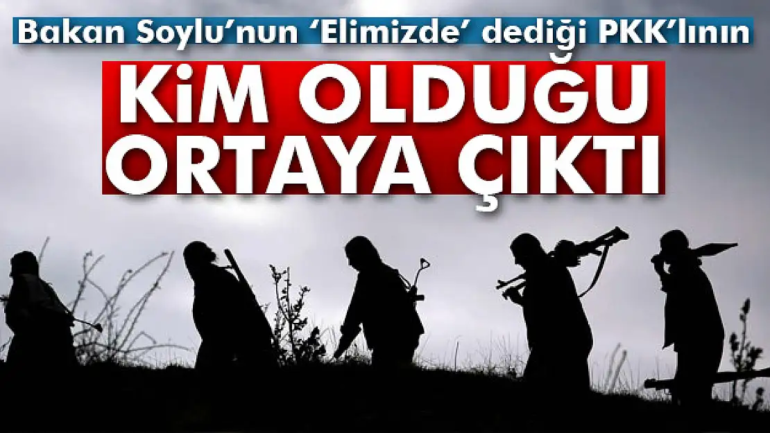 Yakalanan üst düzey PKK'lı yönetici kim?