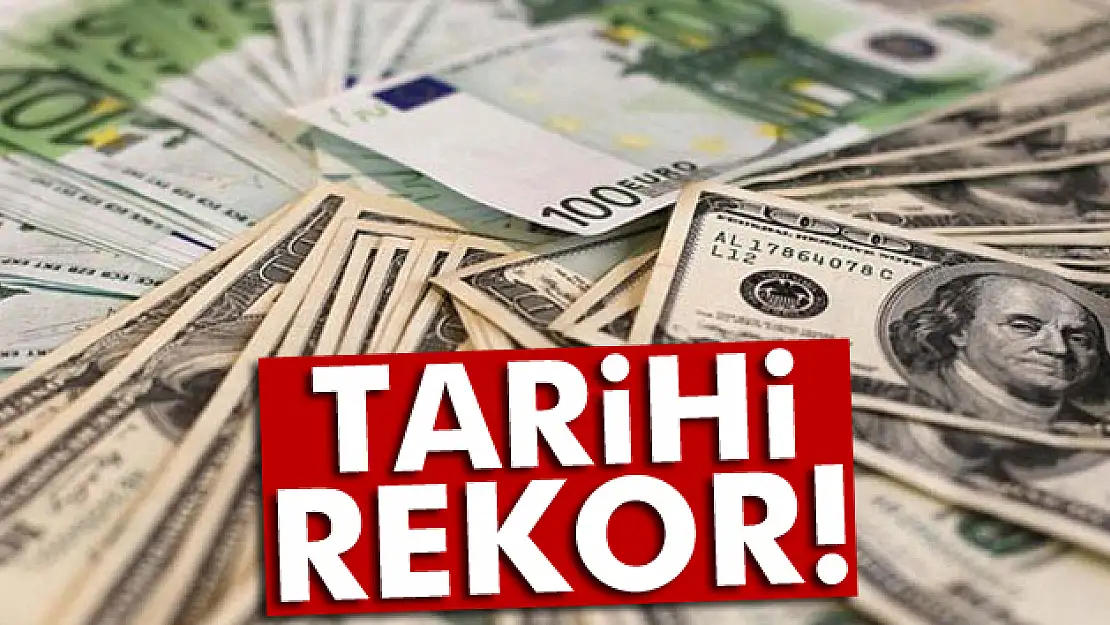 Dolar ve euroda rekor tazelendi