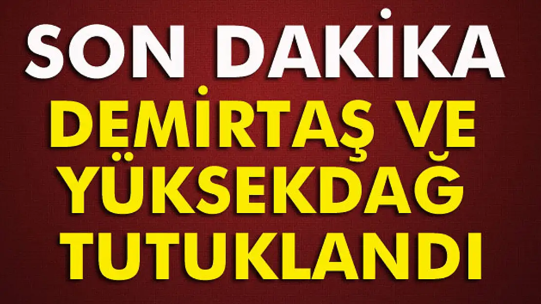 Selahattin Demirtaş ve Figen Yüksekdağ tutuklandı