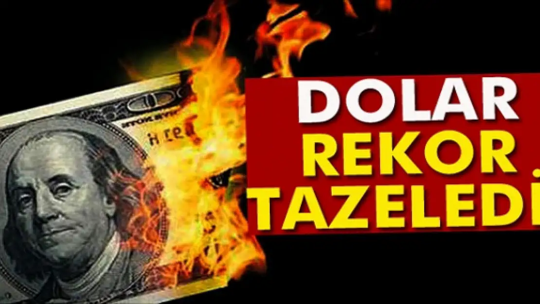 Dolar, 3,15'in üzerine çıkarak rekor kırdı